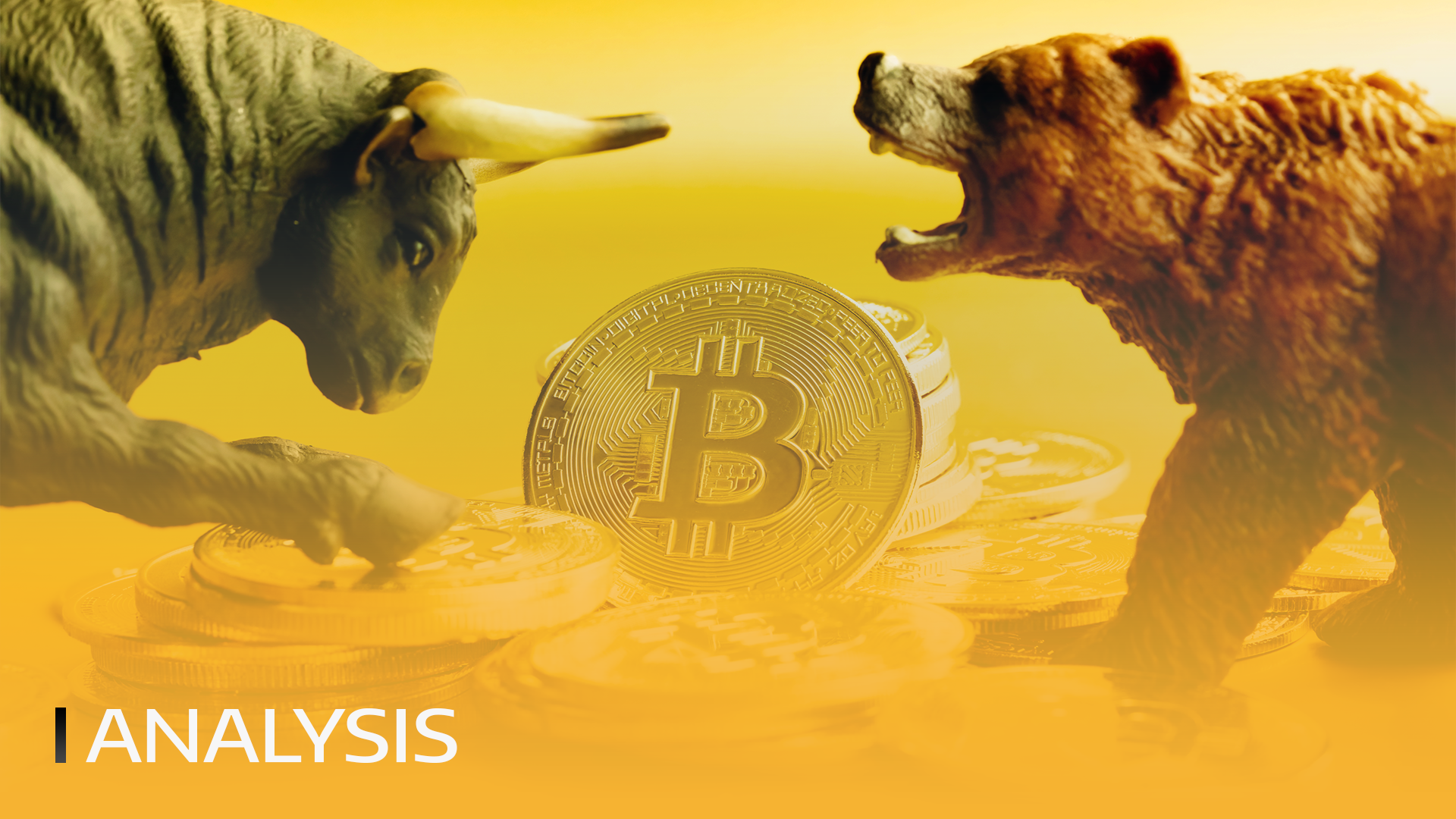 RPjiYnqV5G79KJpq !BULLBEAR