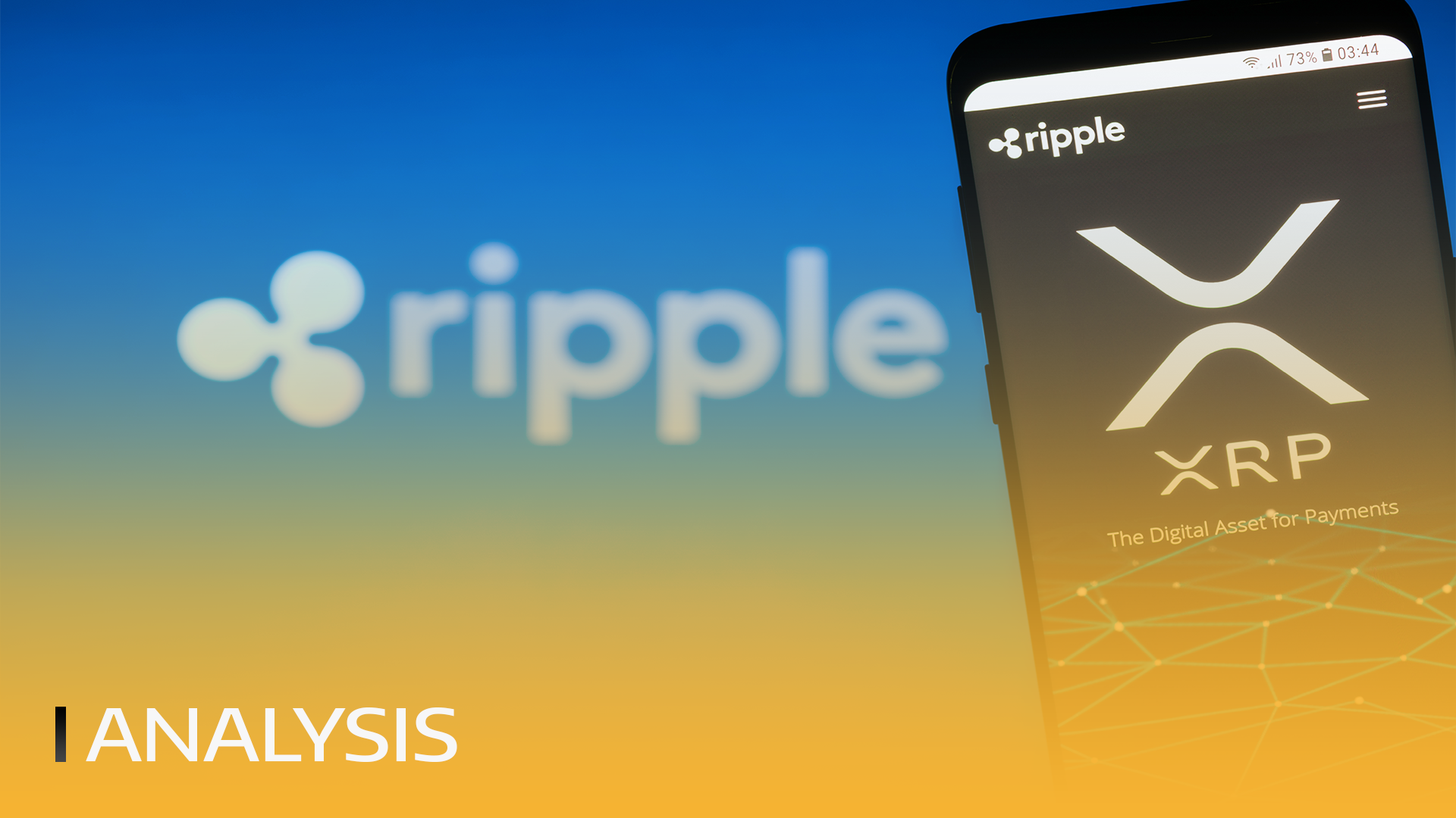 87h6DxD6KhdOc7CZ !XRP2