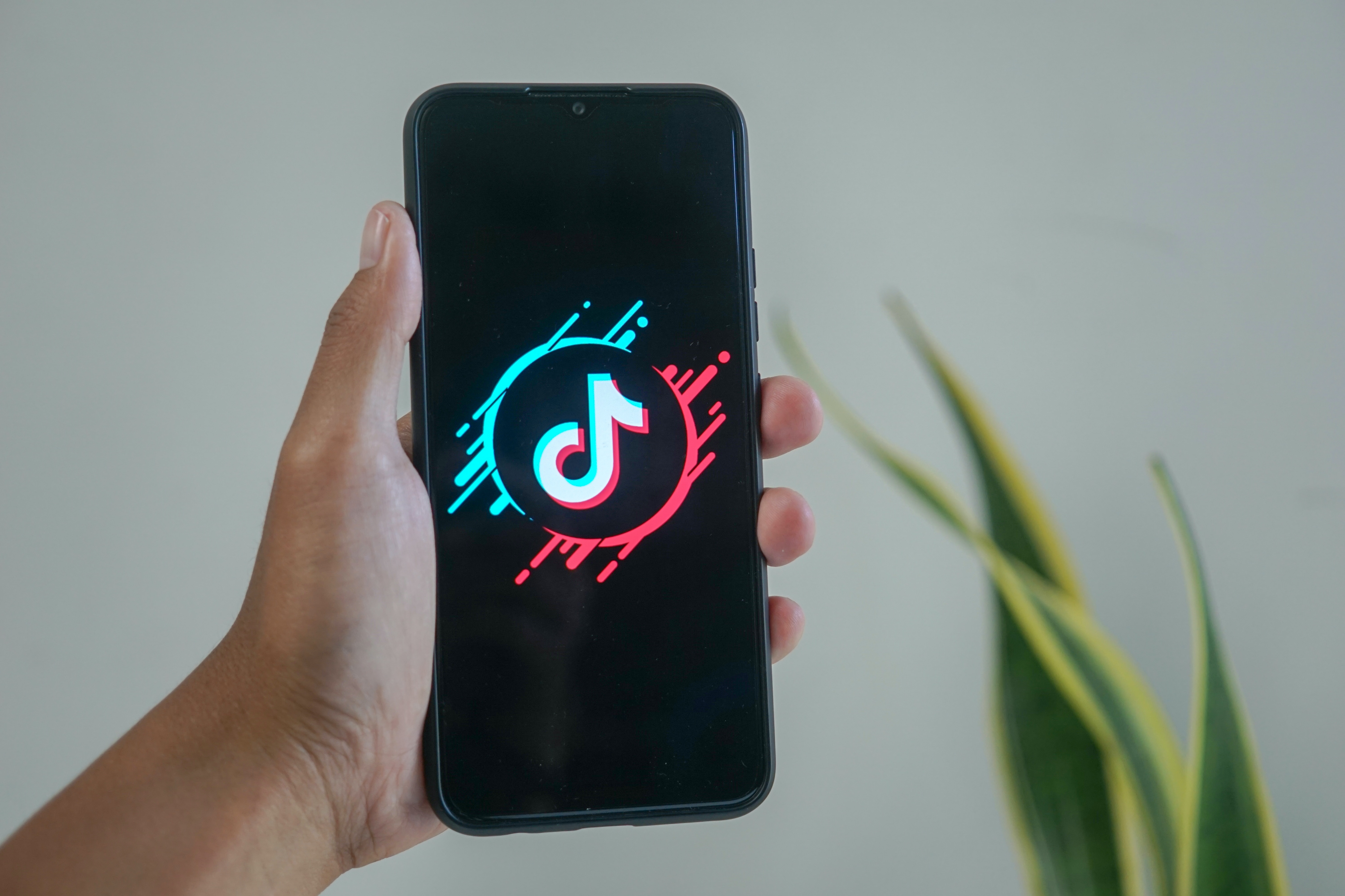 CdwxHgmgTfkb0BxR Mourizal Zativa LUE6vAPx9tI Unsplash